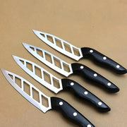 Punctured Knife, Fruit Knife, Kitchen Helper Frugal Finds Galore
