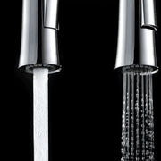 Pull Down Kitchen Sink Faucet with Shower Sprinkler Frugal Finds Galore
