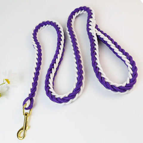 Woven Eight-Strand Dog Leash with Hand Grip Frugal Finds Galore