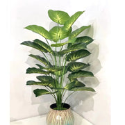 Back Of Turtle Artificial Plant Frugal Finds Galore