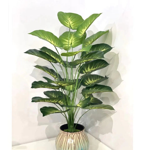 Back Of Turtle Artificial Plant Frugal Finds Galore