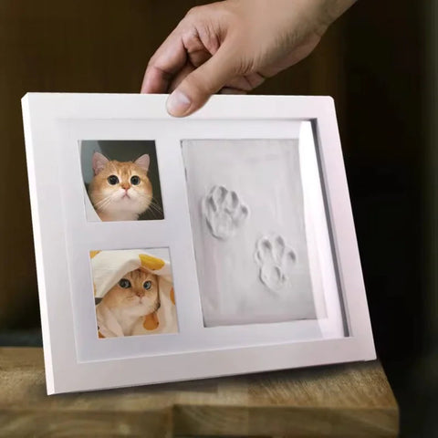 Pet Pawprint  Frame DIY Frugal Finds Galore