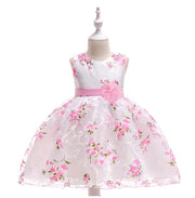 Baby Lace Dress Frugal Finds Galore