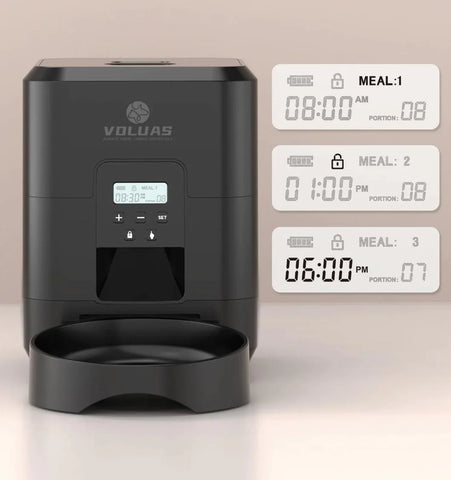 Smart Automatic Pet Feeder Frugal Finds Galore