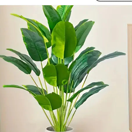 Back Of Turtle Artificial Plant Frugal Finds Galore