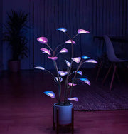 Smart Plant Night Light Frugal Finds Galore