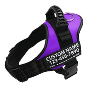 Reflective Pet Harness Leash Set Frugal Finds Galore