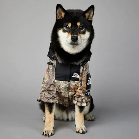 The Modern Paws Dog Coat Frugal Finds Galore
