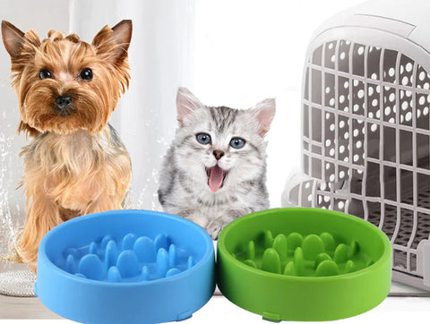 Pet Slow Feed Bowl for Healthy Digestion and Weight Loss Frugal Finds Galore