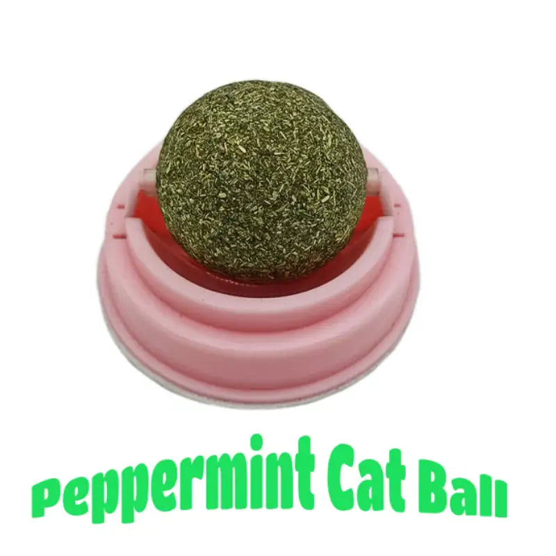 Cat Tooth Molar Cleaning Ball