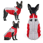 Windproof Winter Pet Clothes Frugal Finds Galore