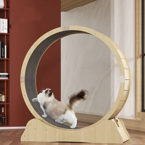 Purr Fit Cat Running Wheel Frugal Finds Galore