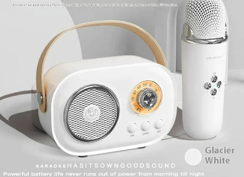 Portable Bluetooth Audio With Wireless Microphone Frugal Finds Galore