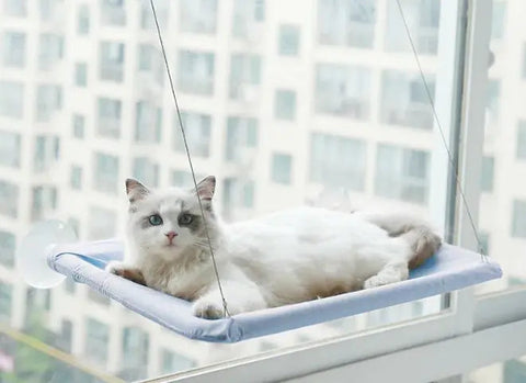 Pet Window Hammock Frugal Finds Galore