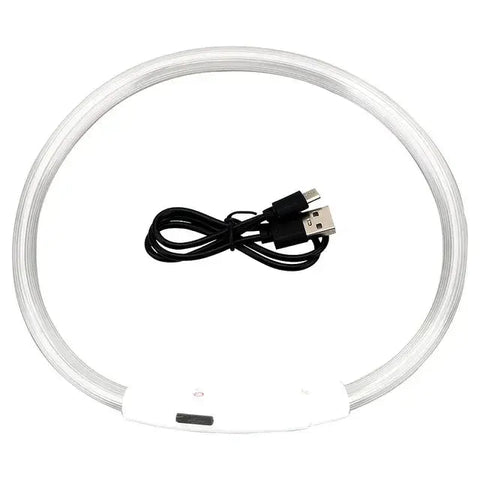 Safety Flashing Glow Dog Collar Frugal Finds Galore