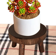 Solid Wood Plant Stand Flower Pot Rack Frugal Finds Galore