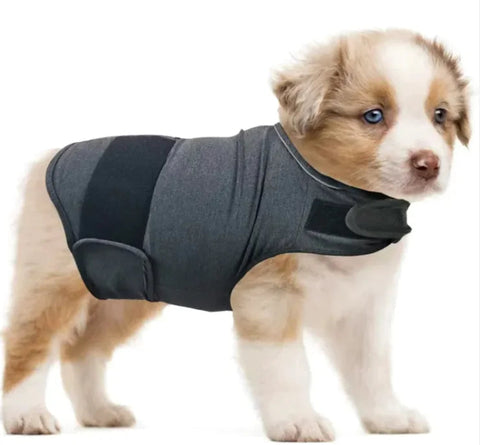 Calm Paws Anxiety Relief Tank Frugal Finds Galore