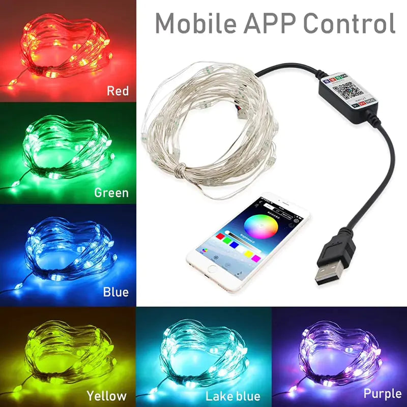 Bluetooth LED String Lights