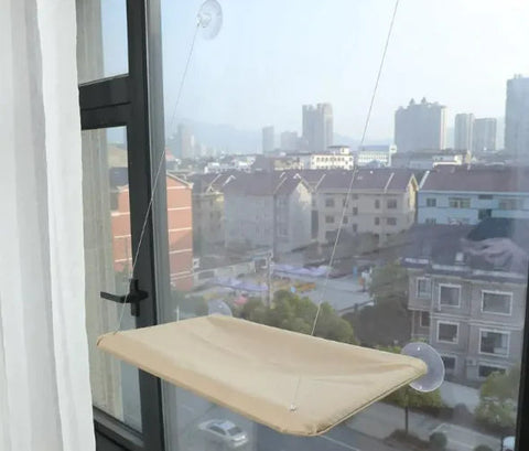 Comfortable Pet Hammock Frugal Finds Galore