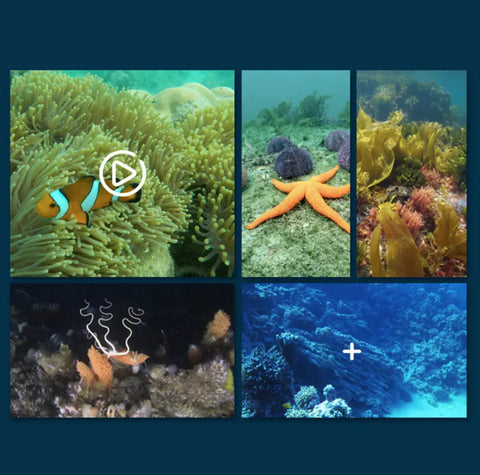 Remote Control Underwater Camera Boat Frugal Finds Galore