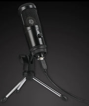 "Computer Game Streaming Condenser Microphone" Frugal Finds Galore