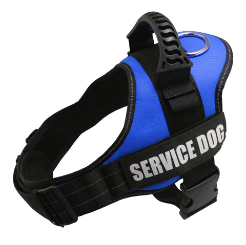 Reflective Pet Harness Leash Set Frugal Finds Galore