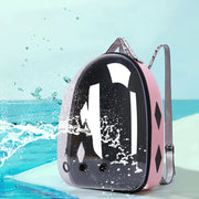 Transparent Space Capsule Pet Backpack Carrier Frugal Finds Galore