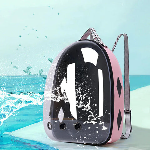 Transparent Space Capsule Pet Backpack Carrier Frugal Finds Galore