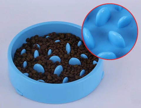 Pet Slow Feed Bowl for Healthy Digestion and Weight Loss Frugal Finds Galore