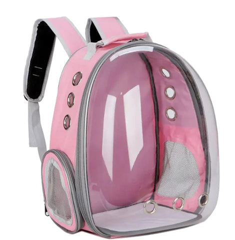 Pet Bag Frugal Finds Galore