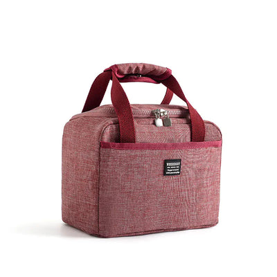Thickened Cationic Insulated Lunch Box with Bag Frugal Finds Galore