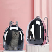 Transparent Space Capsule Pet Backpack Carrier Frugal Finds Galore