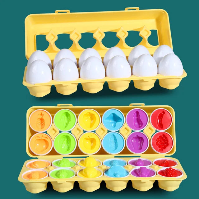 Montessori Toy Matching Eggs