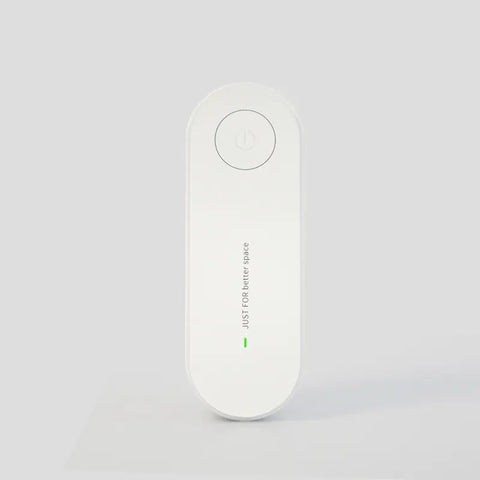 Mini Portable Air Purifier for Dust, Smoke, Odor & More Frugal Finds Galore