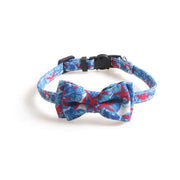 Colorful Pet Collar Frugal Finds Galore