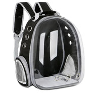 Pet Bag Frugal Finds Galore