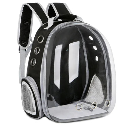 Pet Bag Frugal Finds Galore
