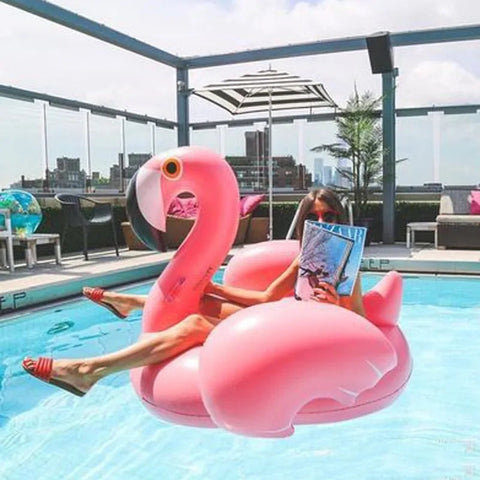 Inflatable Flamingo/Swan Pool Float Frugal Finds Galore
