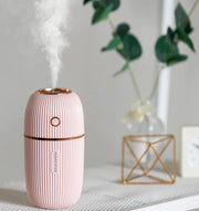 Car and Desk Humidifier for Hydration Frugal Finds Galore