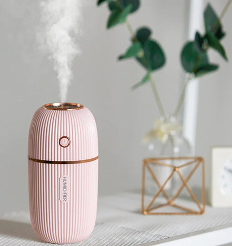 Car and Desk Humidifier for Hydration Frugal Finds Galore