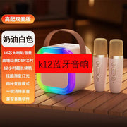 Bluetooth Portable Wireless Karaoke Speaker System Frugal Finds Galore