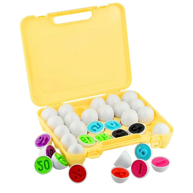 Montessori Toy Matching Eggs