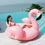 Inflatable Flamingo/Swan Pool Float Frugal Finds Galore