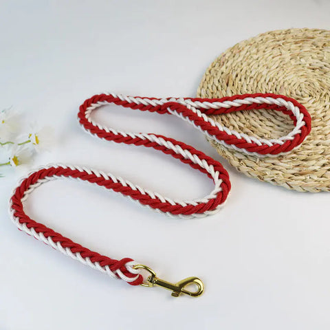 Woven Eight-Strand Dog Leash with Hand Grip Frugal Finds Galore