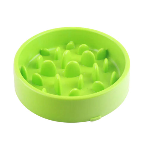 Pet Slow Feed Bowl for Healthy Digestion and Weight Loss Frugal Finds Galore