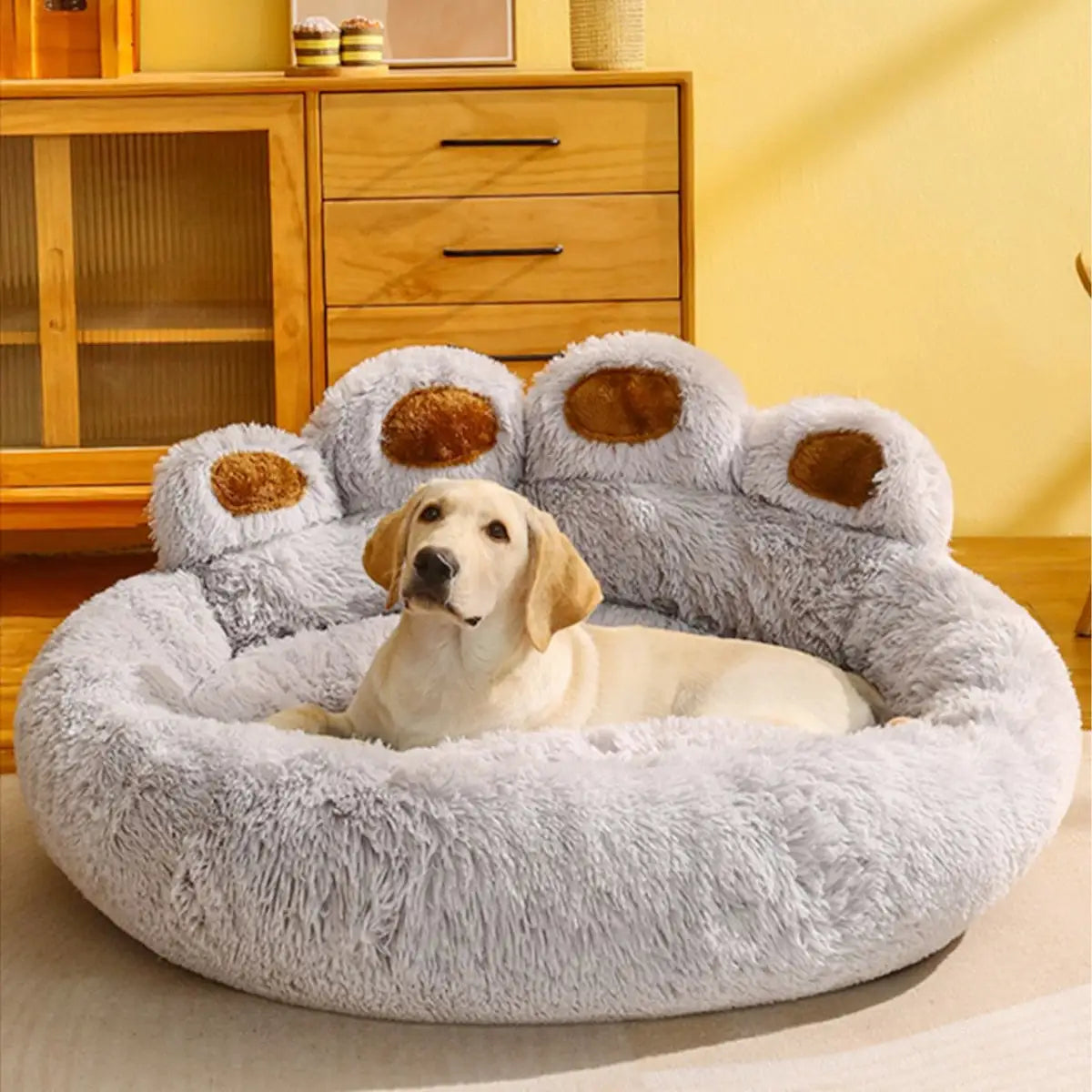 Sofás cama para perros