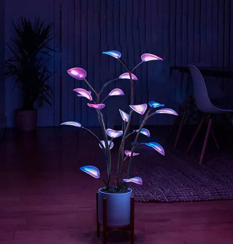 Smart Plant Night Light Frugal Finds Galore