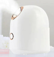 Glow Mist Beauty Steamer Frugal Finds Galore