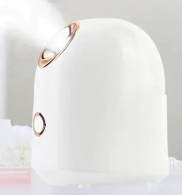 Glow Mist Beauty Steamer Frugal Finds Galore
