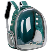 Pet Bag Frugal Finds Galore